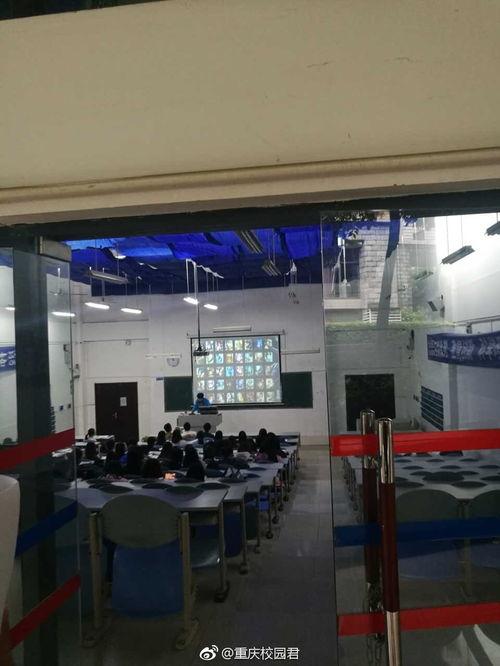 重庆学校爆料新闻视频,揭秘校园内幕事件